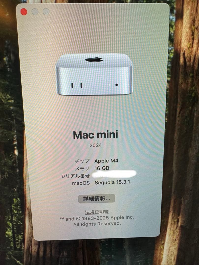 【美品】M4 Mac mini 16GB 256GB