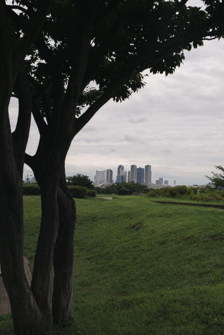 標準ズームの礎！RIKENON P ZOOM 28-70mm オールドレンズ