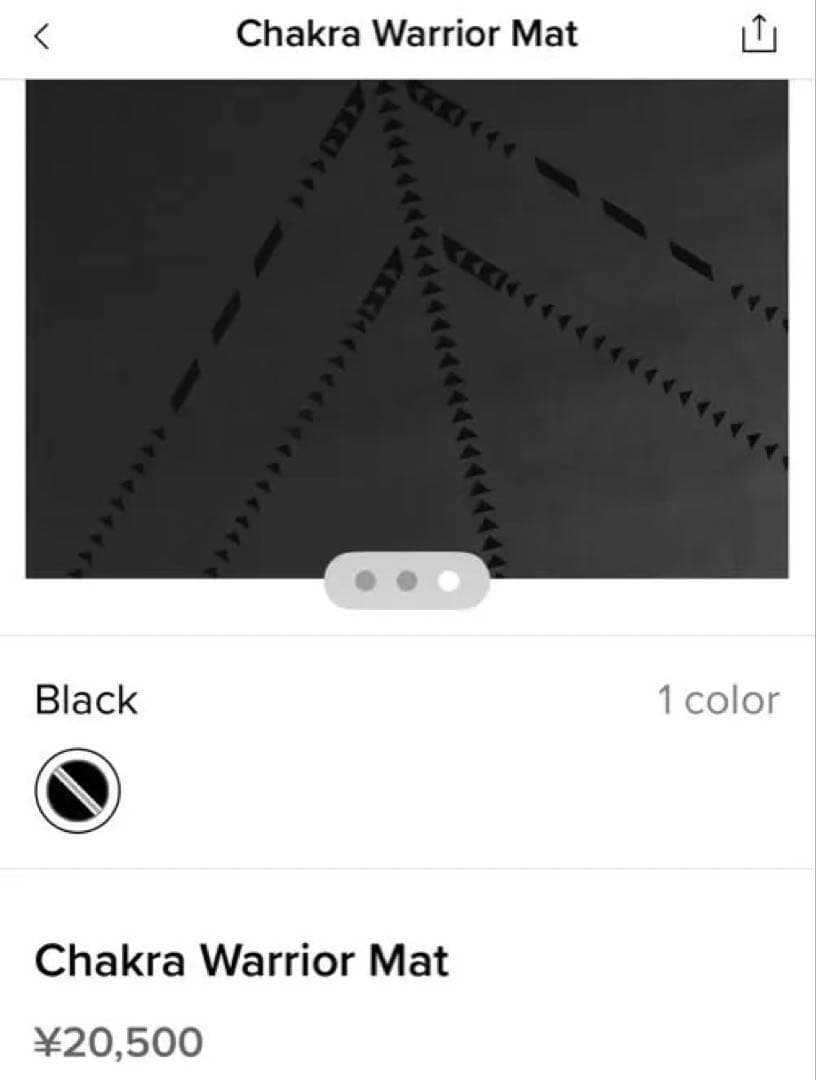 【専用】Alo Yoga/ Chakra Warrior Mat