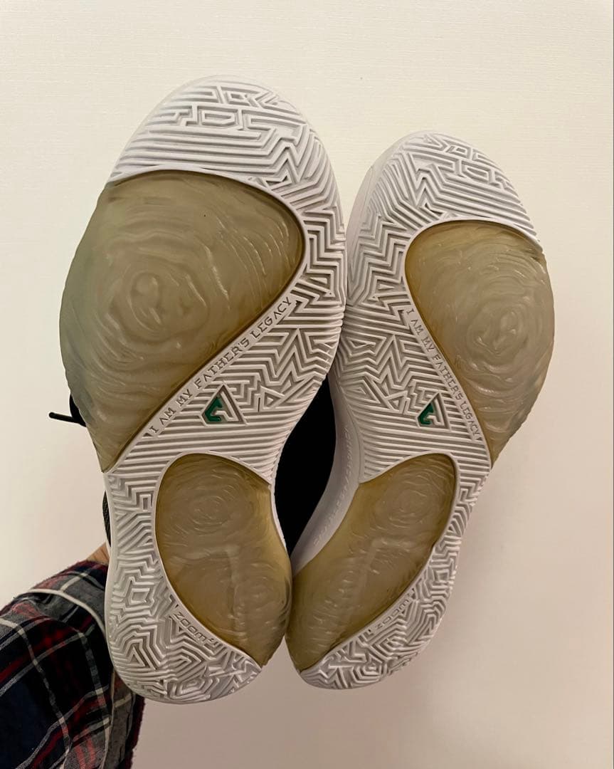 NIKE、ズームフリーク1、26センチ