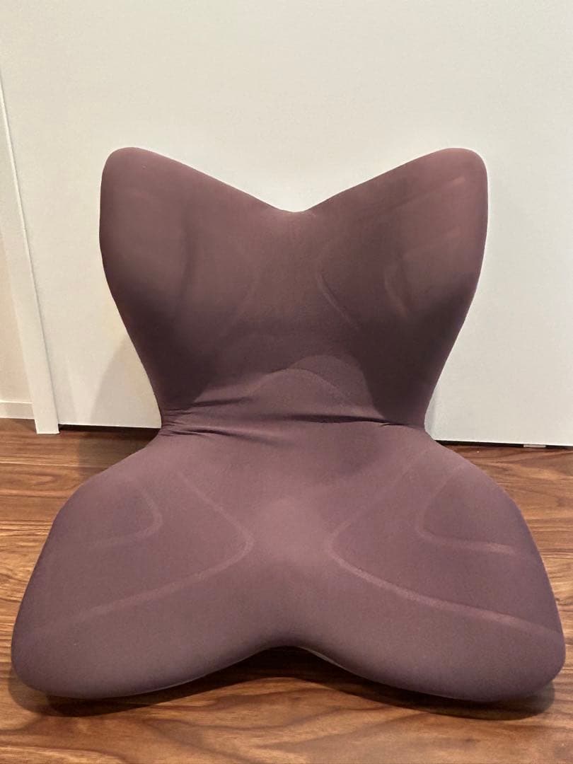 MTG Style PREMIUM 姿勢矯正 骨盤サポート プレミアム