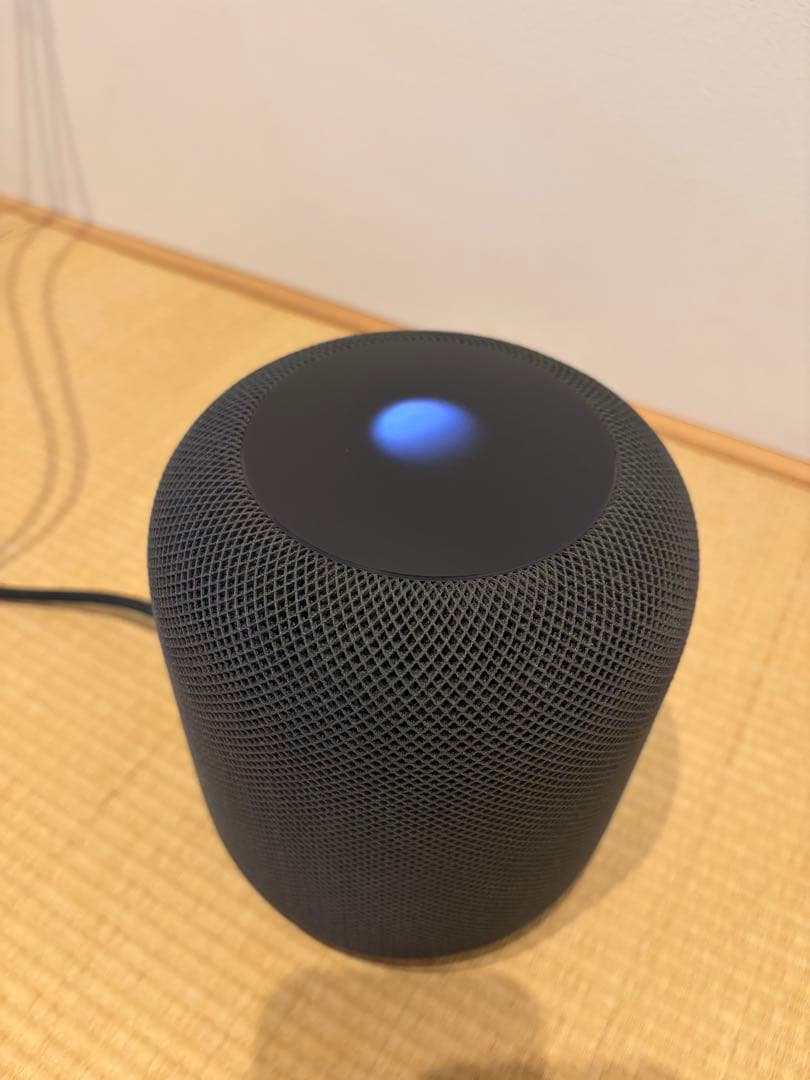 スピーカー・ウーファー Apple Pod