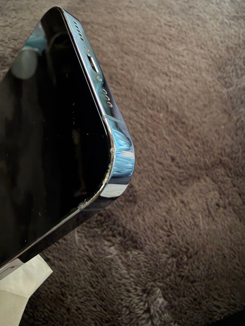 ペリー カモノハシ  Apple iPhone 13 Pro シエラブルー