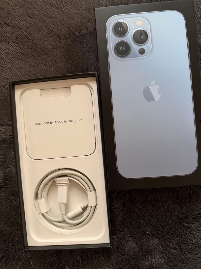 ペリー カモノハシ  Apple iPhone 13 Pro シエラブルー