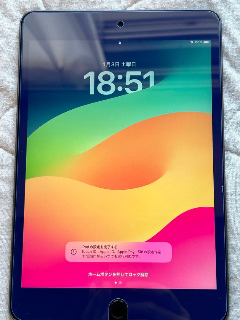 サ*ン様 iPad mini 7.9 インチ 第5世代 64 GB - Wi-F