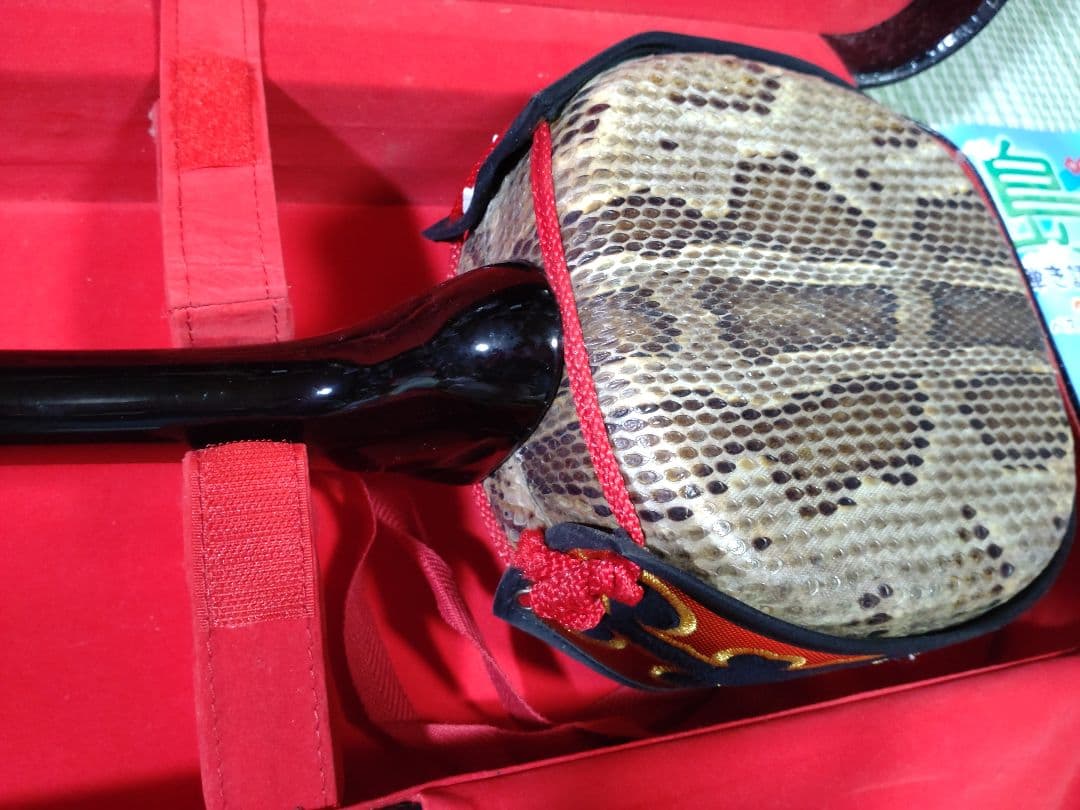 沖縄三線 本蛇皮 和楽器 ハードケース付き　おまけ本2冊