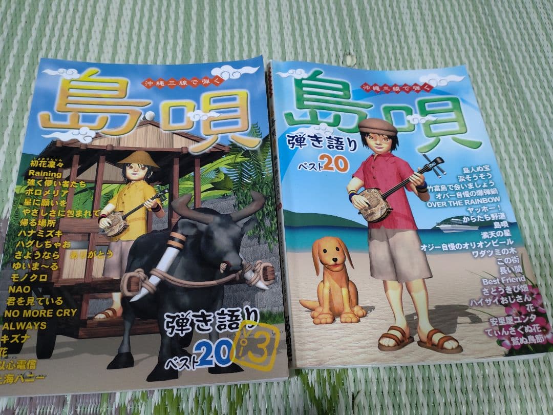 沖縄三線 本蛇皮 和楽器 ハードケース付き　おまけ本2冊