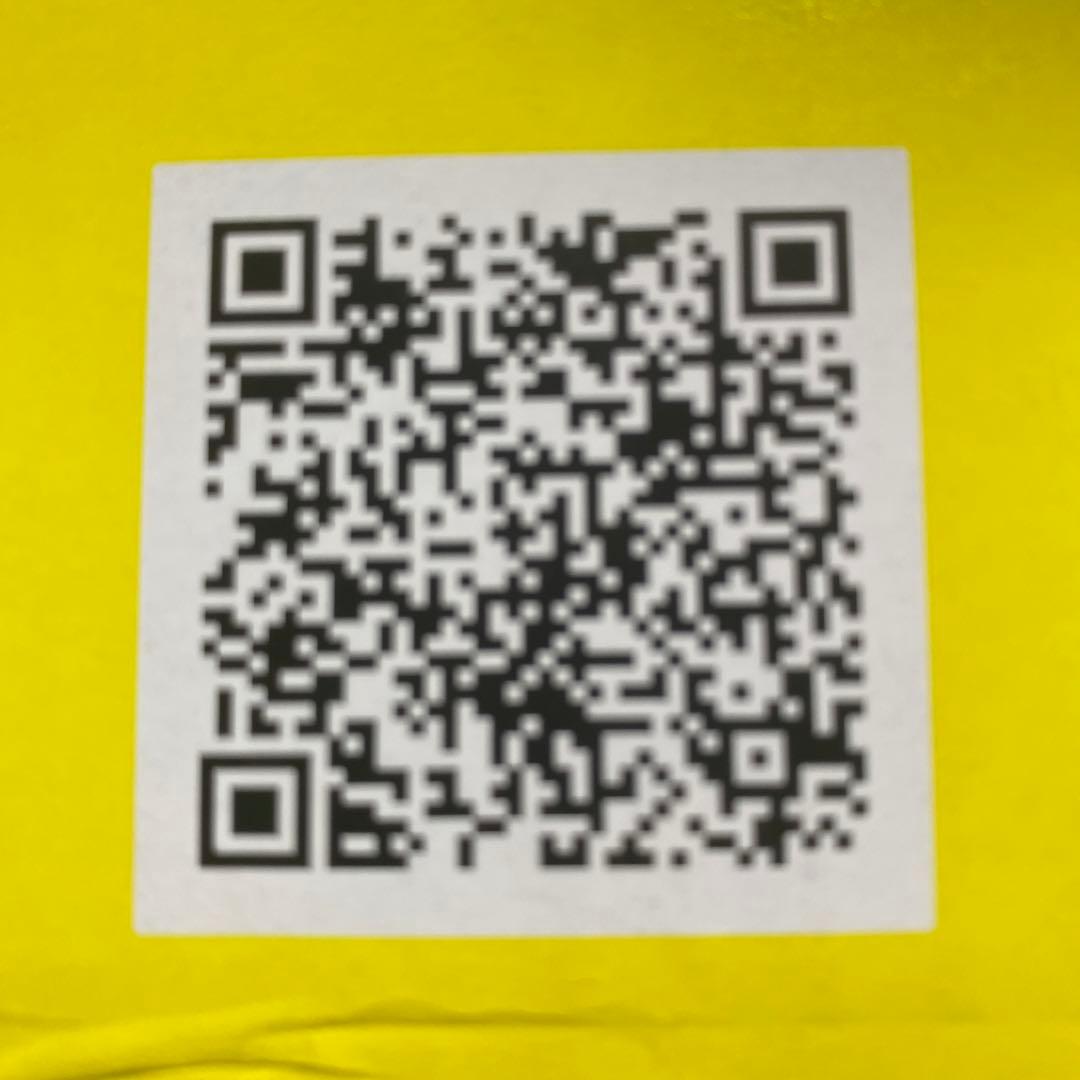 ⭐︎ごんた⭐︎ KARCHER K4 プレミアムサイレント高圧洗浄機 本体