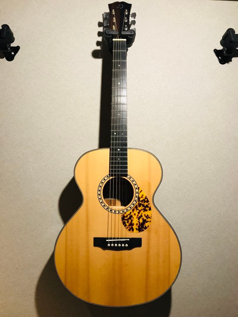 ようへい様ケース付き送料込値下げ！珍しいスロバキヤDOWINA