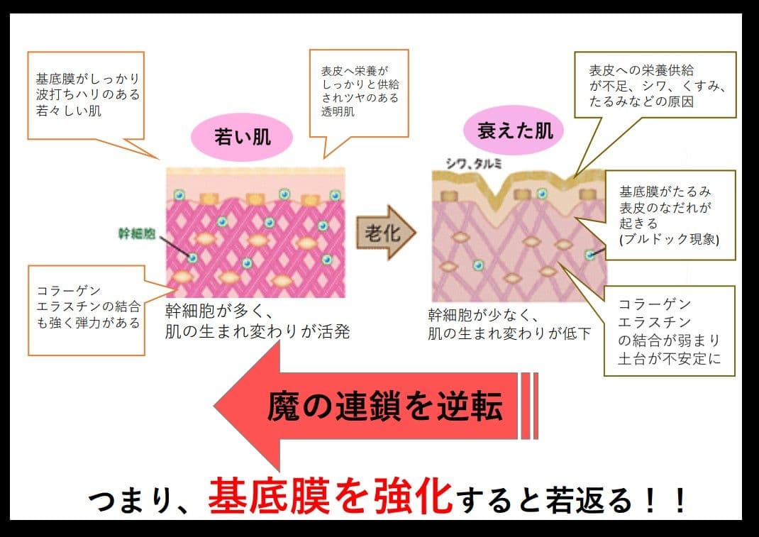 【本物】アクシージア☆GFチャージアドバンス☆美容液導入美肌艶肌水光注射エステ
