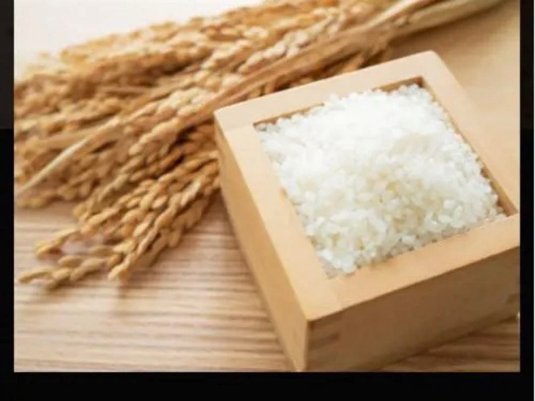 北海道産ななつぼし　20kg 白米