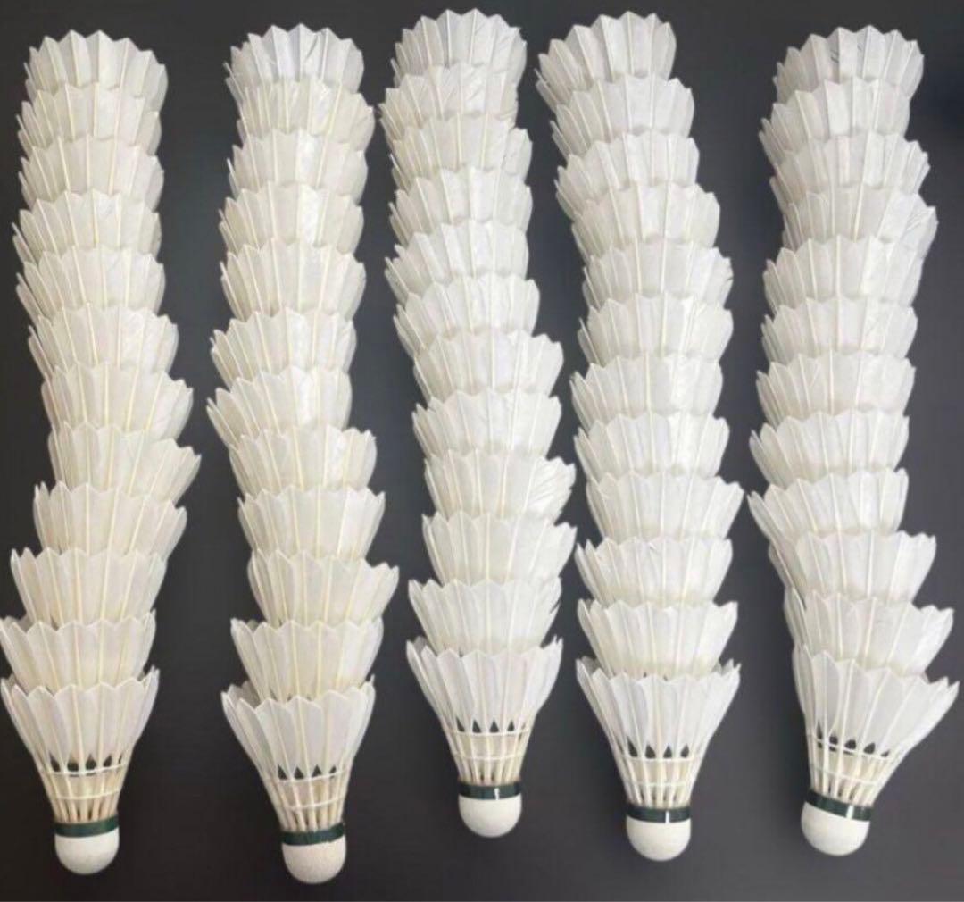 YONEX AEROSENS AS-500 10ダースNo.4