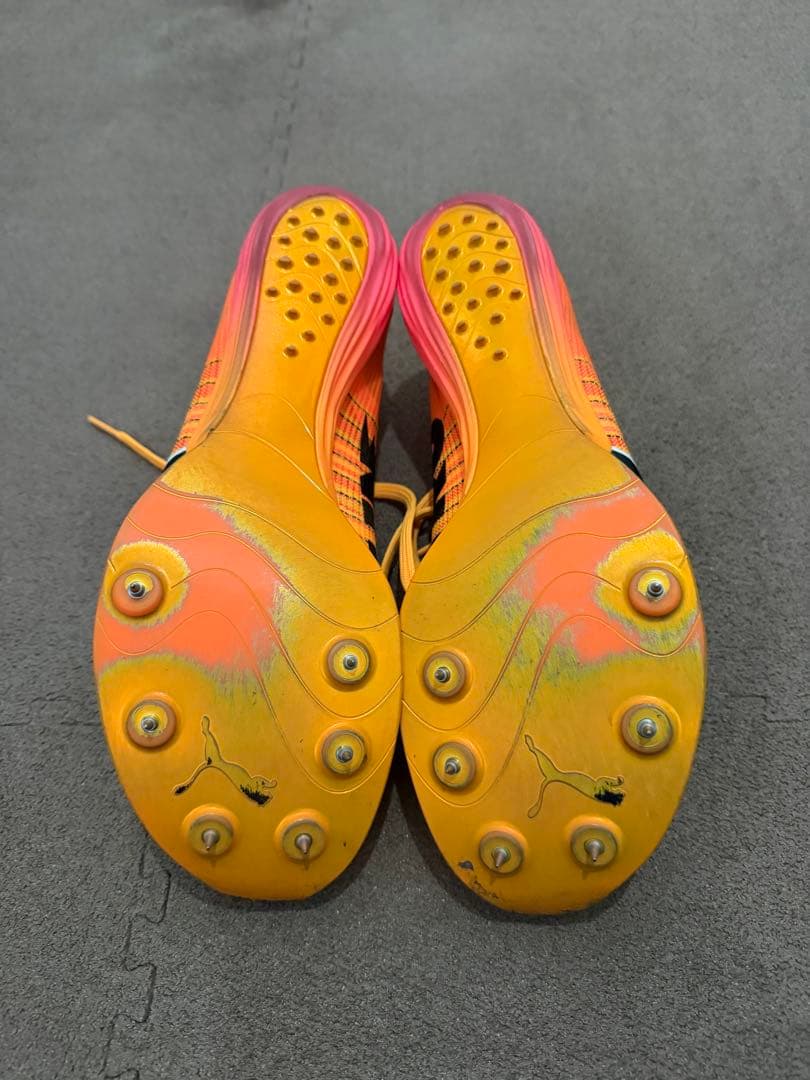 フォルテニトロエリート