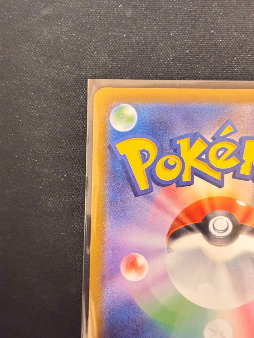 お*読様 メガオーダイルex SAR スタートデッキ100 101