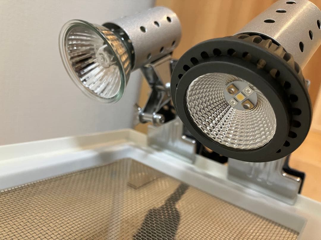 カナヘビ 冬越しセット UV/ヒーター付 水槽一式