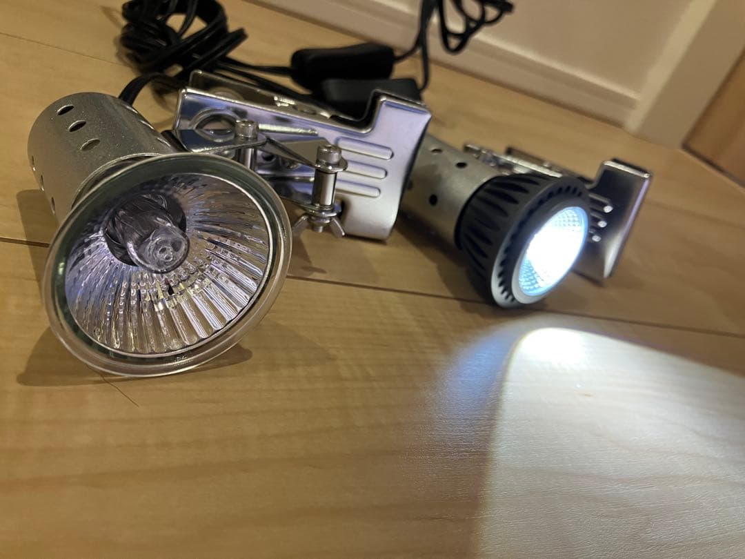 カナヘビ 冬越しセット UV/ヒーター付 水槽一式