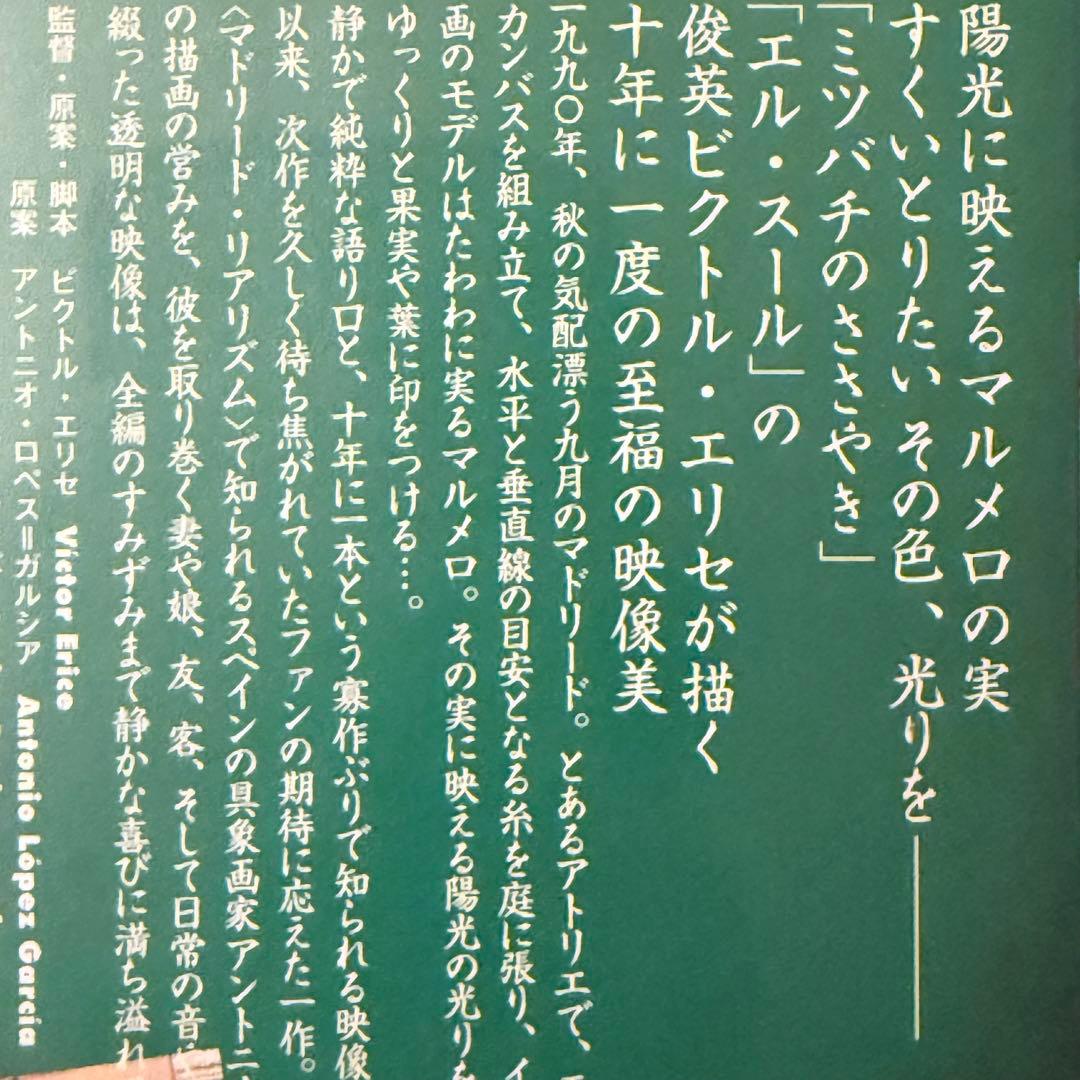p*e様 雪解特価‼️幻の傑作‼️「マルメロの陽光('92スペイン)」ヴィクトル