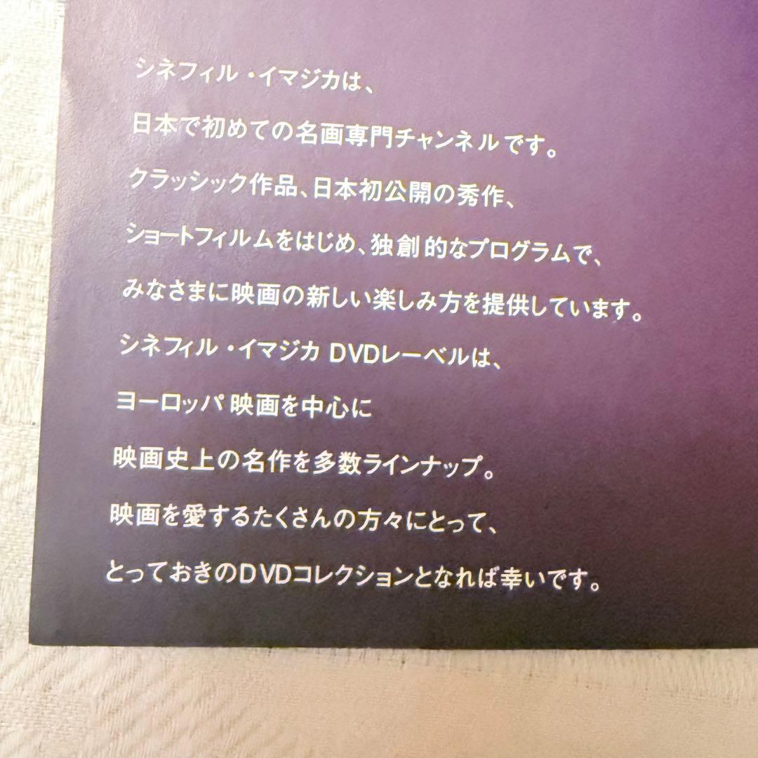 p*e様 雪解特価‼️幻の傑作‼️「マルメロの陽光('92スペイン)」ヴィクトル