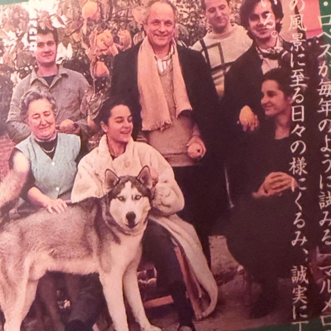 p*e様 雪解特価‼️幻の傑作‼️「マルメロの陽光('92スペイン)」ヴィクトル