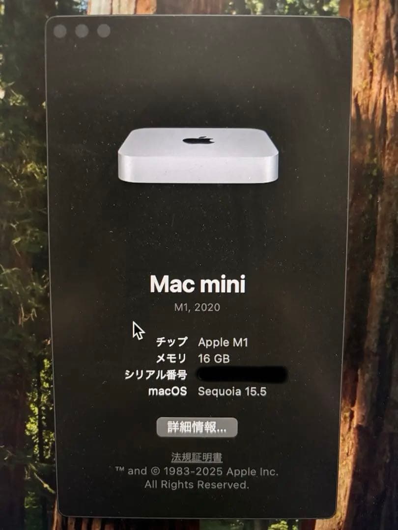 ミニPC Apple Mac mini M1 2020 16GB 2TBSSD