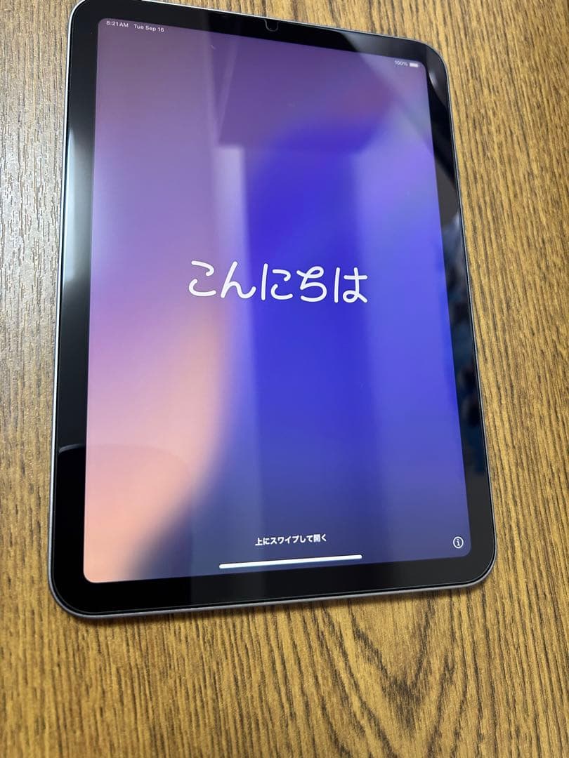 ほぼ新品 Apple iPad mini 7 256GB スペースグレイ