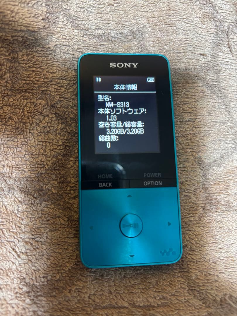 SONY NW-S313 ウォークマン販売終了品