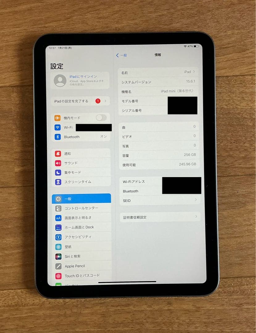 Apple iPad mini 第6世代　256GB wi-fi 美品