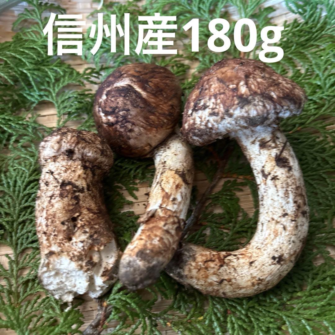 長野県南信州産‼️松茸 3本セット 180g 10/17朝採れ