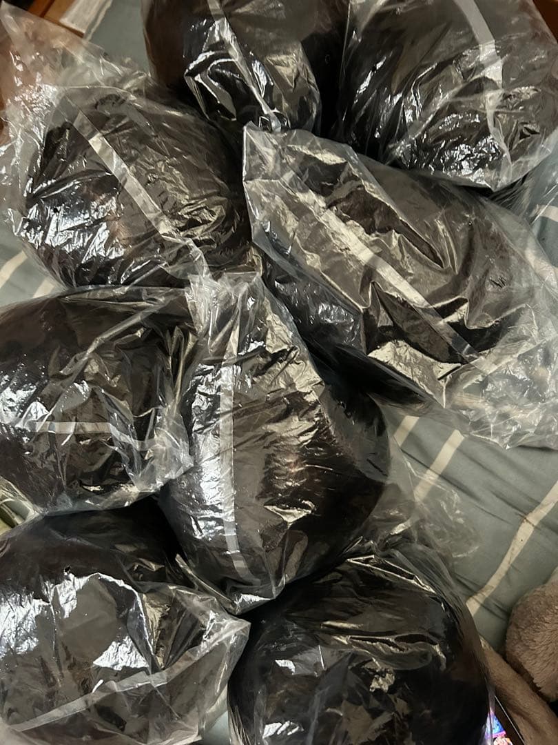 新品未使用！ 国家試験練習用カットウィッグ！　8台