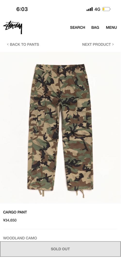 Stussy Cargo Pant ウッドランドカモ　完売品