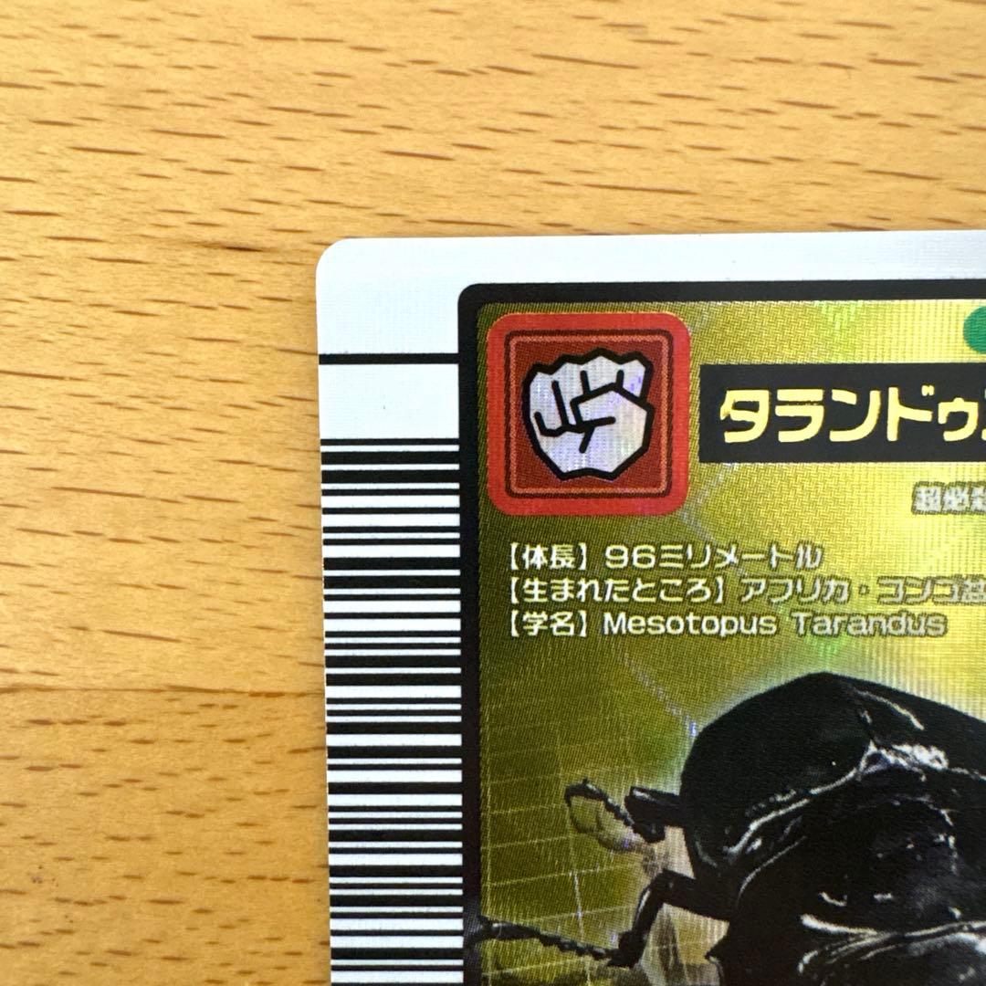 ムシキング　2004 029 タランドゥスツヤクワガタ　未使用品　専用スリーブ入