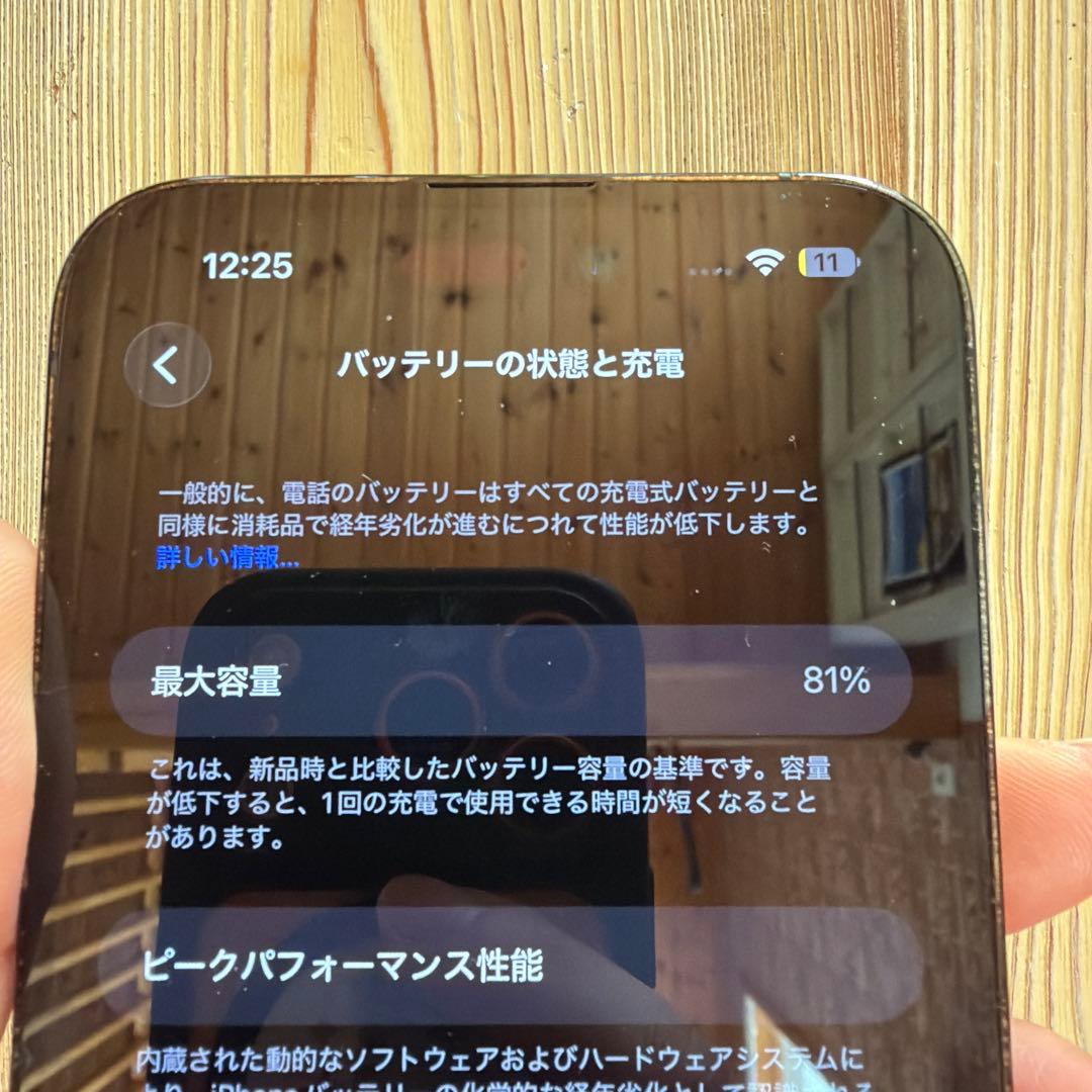 iPhone14 Pro Max 256GB モンスターフィルム1枚付き