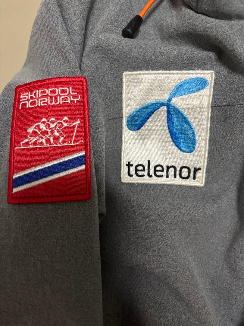 【極美品】phenix グレー ブルー　スキーウェア パンツ　フード　上下セット