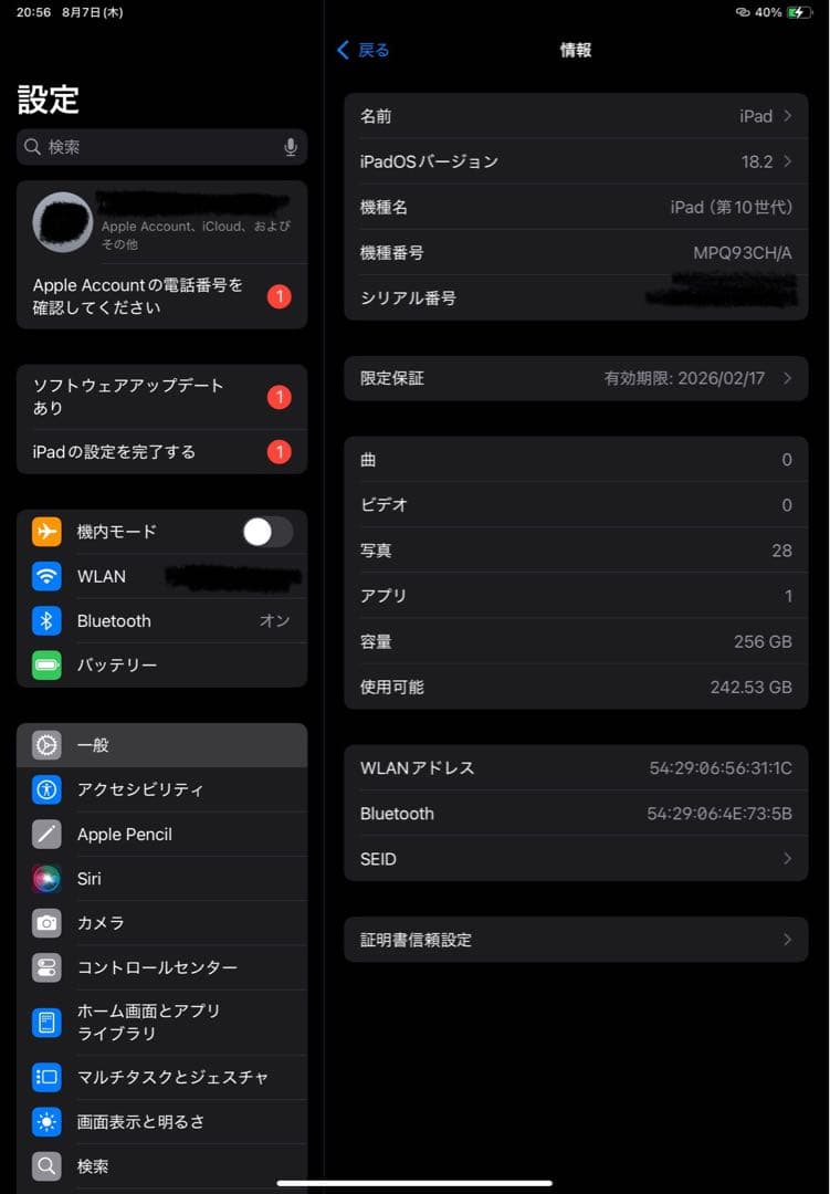 iPad(第10世代)256g 100%
