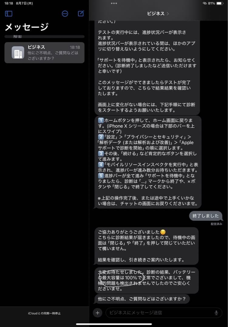 iPad(第10世代)256g 100%