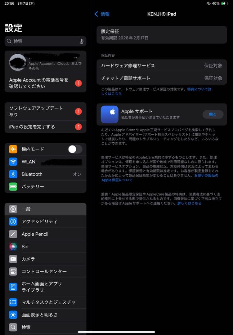 iPad(第10世代)256g 100%