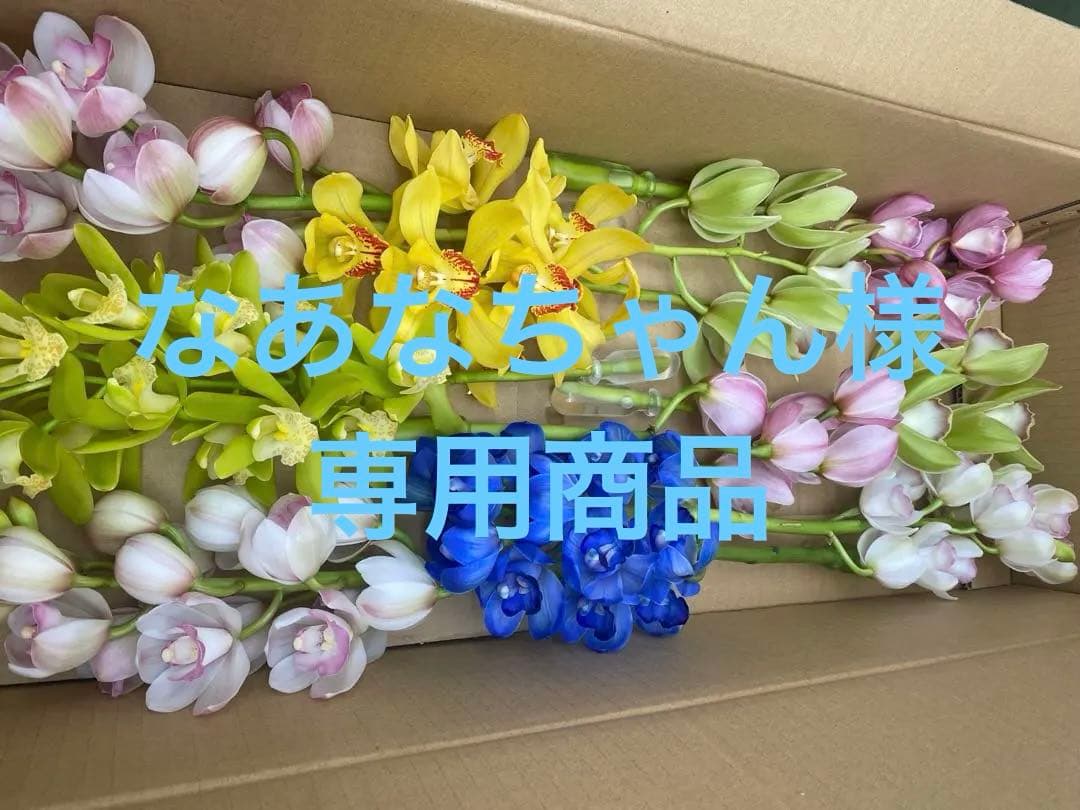 シンビジューム切り花　現品のみ　ミックス　10本