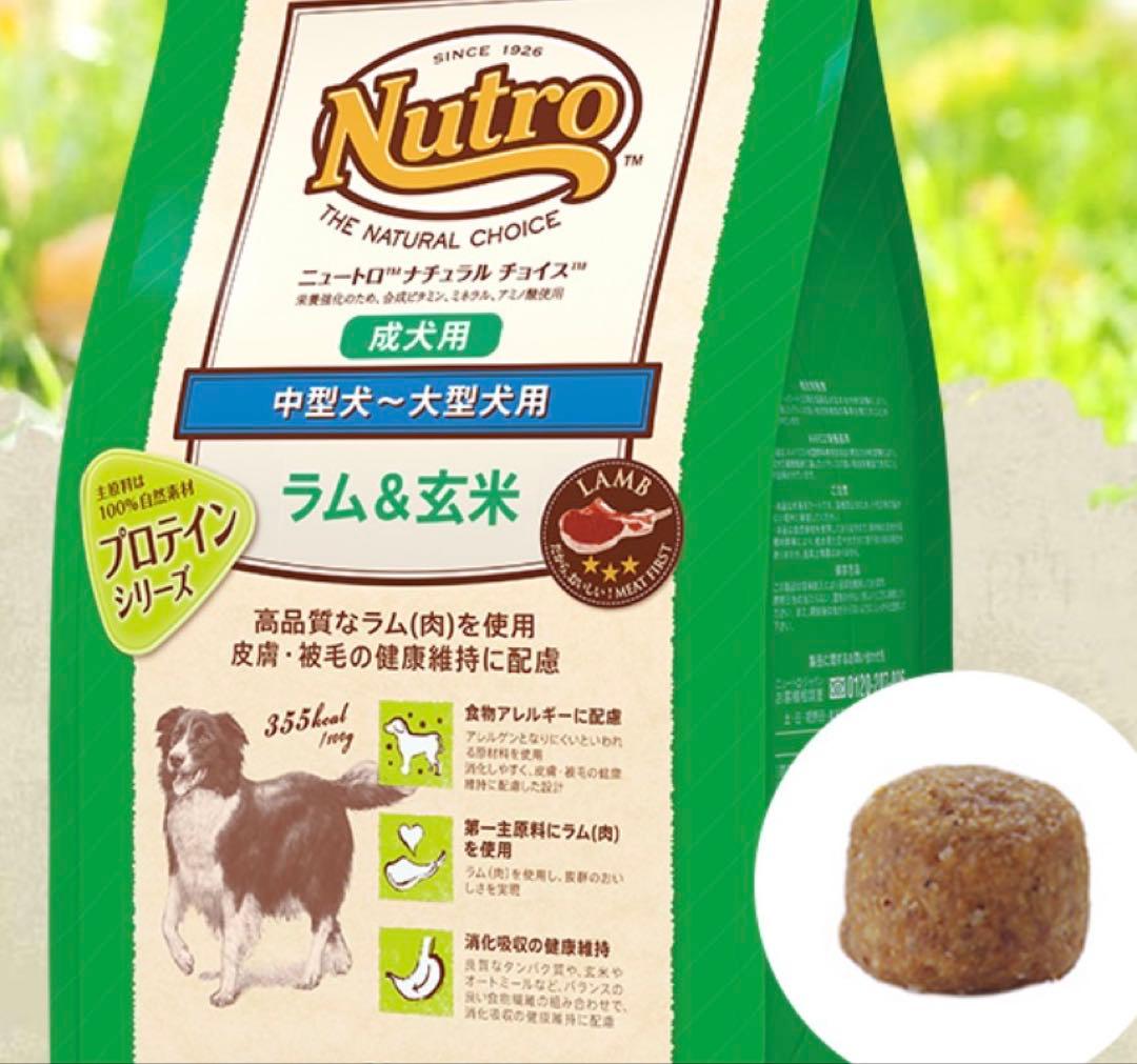 Nutro ラム＆玄米 中型犬・大型犬用 14kg