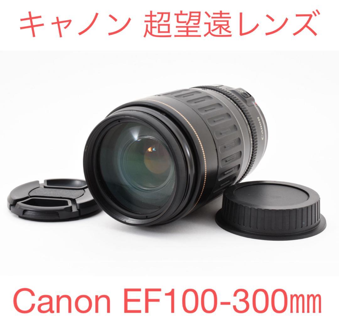 超望遠レンズ Canon EF 100-300mm F4.5-5.6 USM