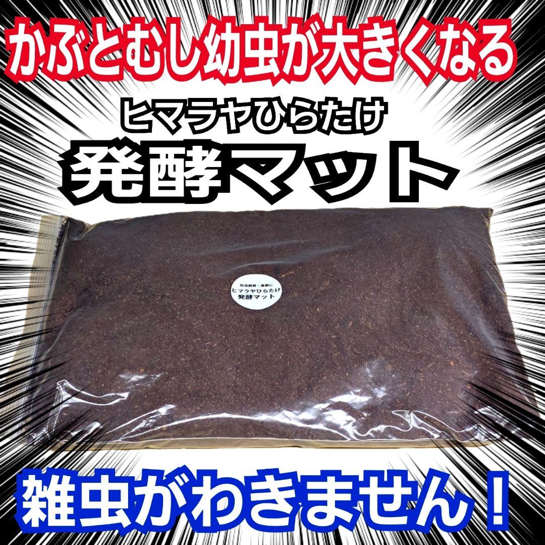 カブトムシの産卵に抜群！ヒマラヤひらたけ発酵マット【60L】雑虫がわきません！