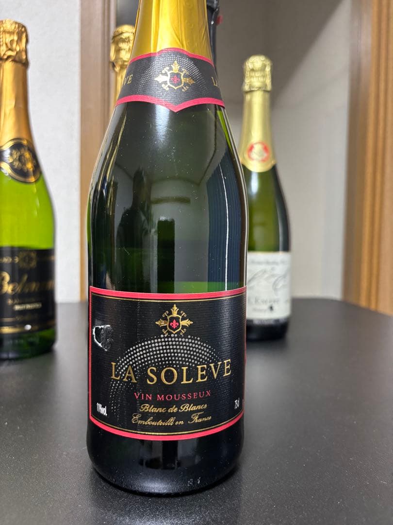 【13本セット・訳あり】スパークリングワイン詰め合わせ（フランス・イタリア他）