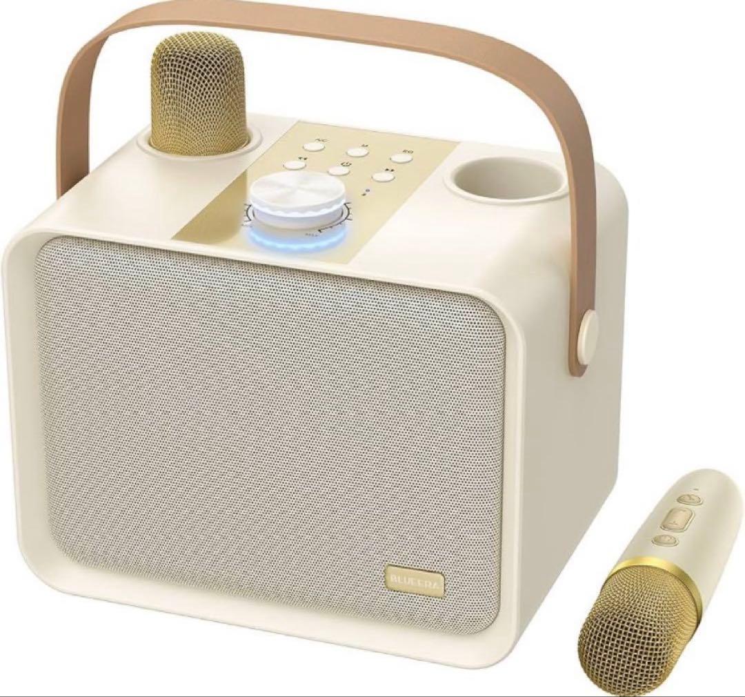 Blueera カラオケセット家庭用 BT マイク 2本 ワイヤレスカラオケ