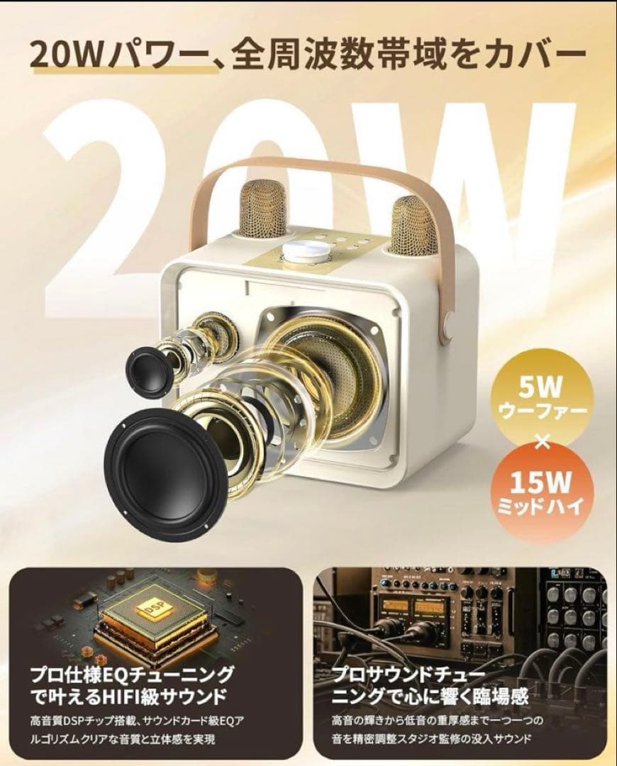 Blueera カラオケセット家庭用 BT マイク 2本 ワイヤレスカラオケ