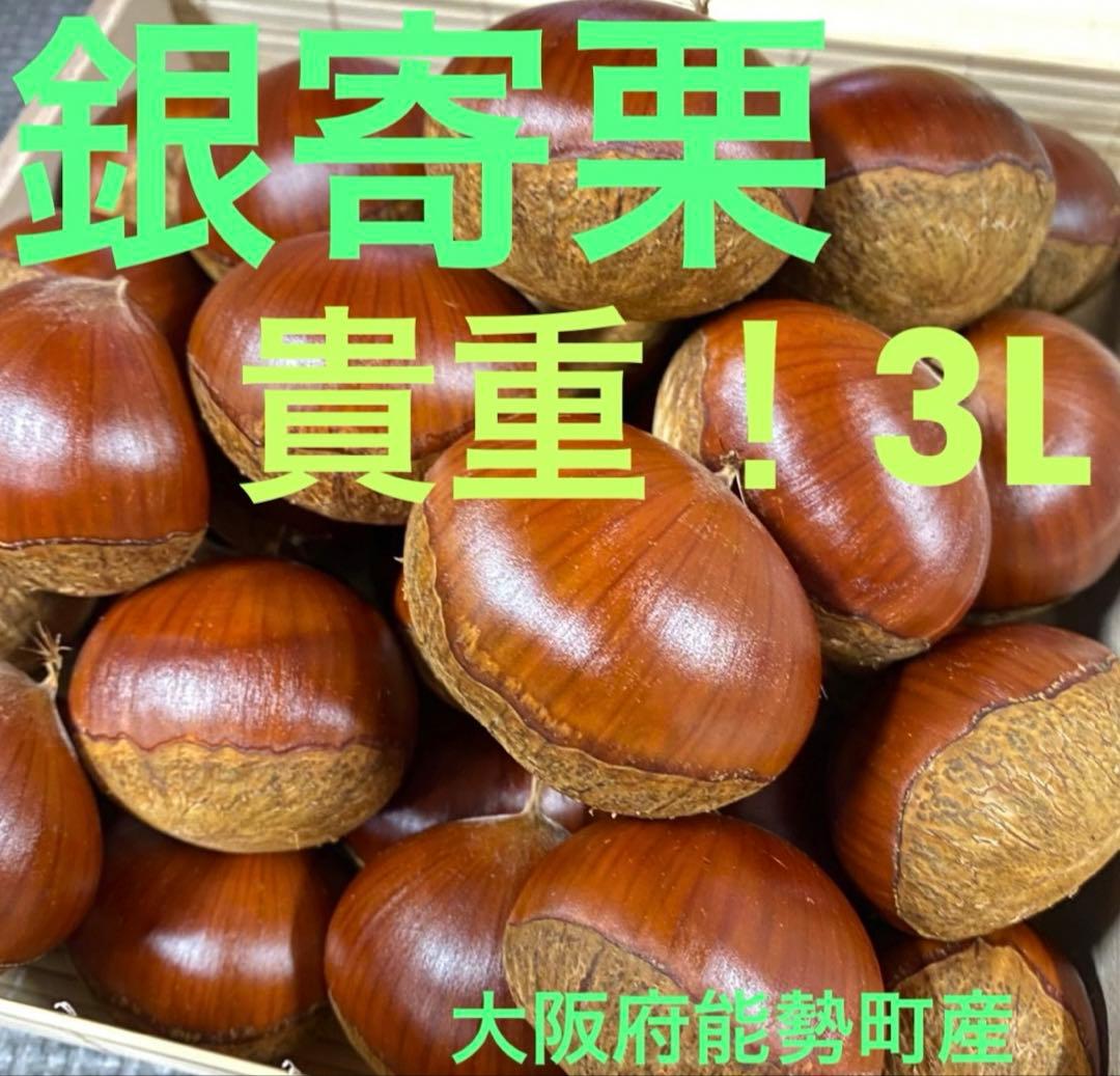 【かりん】銀寄栗　3L 2kg