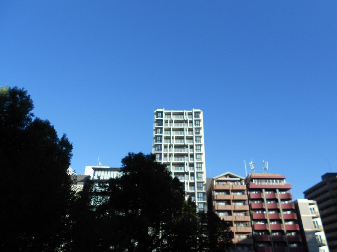 【美品・スマホ転送OK】ニコン NIKON COOLPIX S3100 シルバー