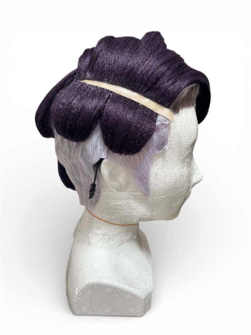 ポケモンZA カラスバ　ウィッグ