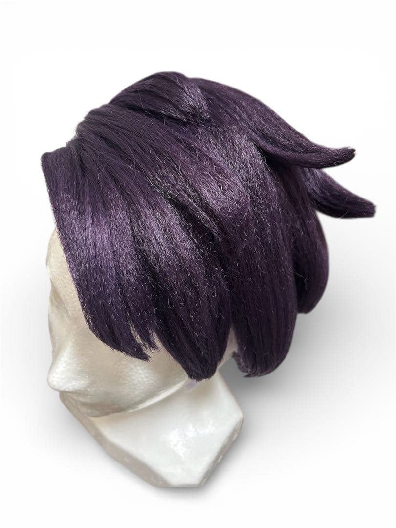 ポケモンZA カラスバ　ウィッグ