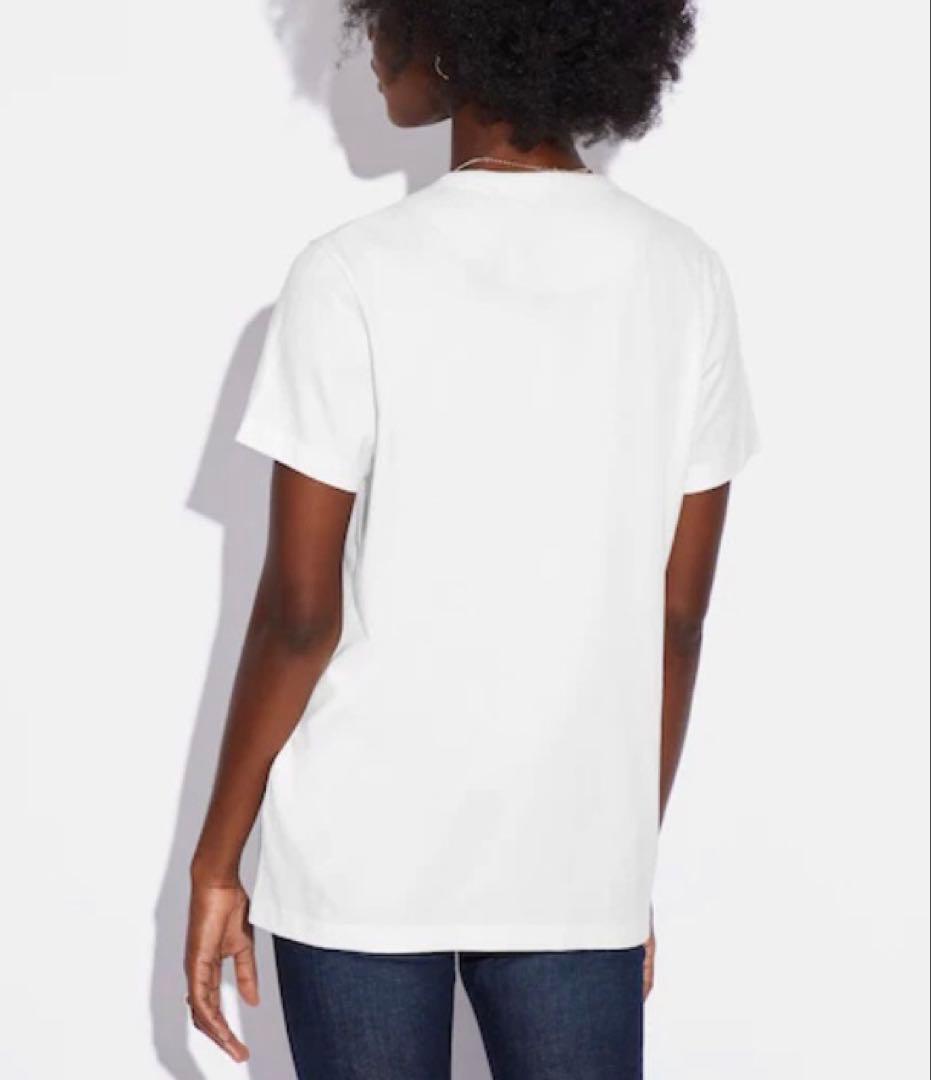 【COACH☆新品】レインボー シグネチャー Tシャツ！ホワイト！Sサイズ！希少