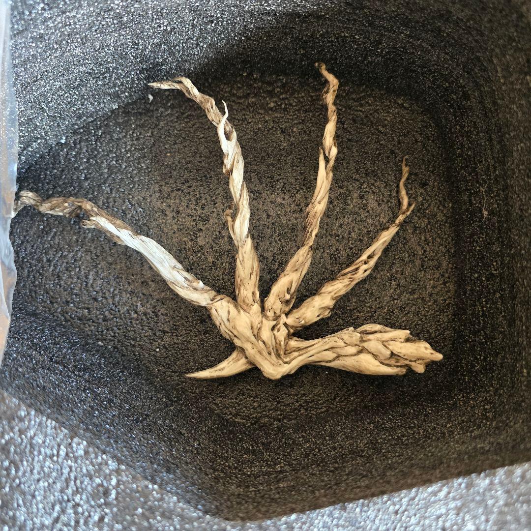 地啼龍アンイシュワルダ　ガレージキット