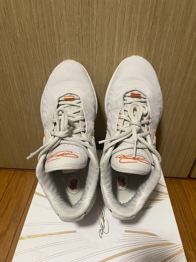 ナイキ レブロン21（NIKE LEBRON XXI）